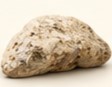 ambergris