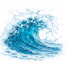 aquatic notes