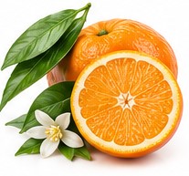 bitter orange