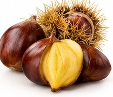 chestnut