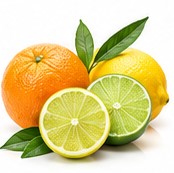 citrus