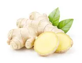 ginger