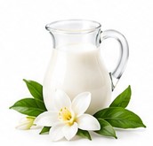 milky notes