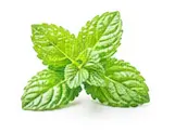 mint