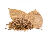 tobacco