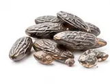 tonka bean
