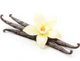 vanilla