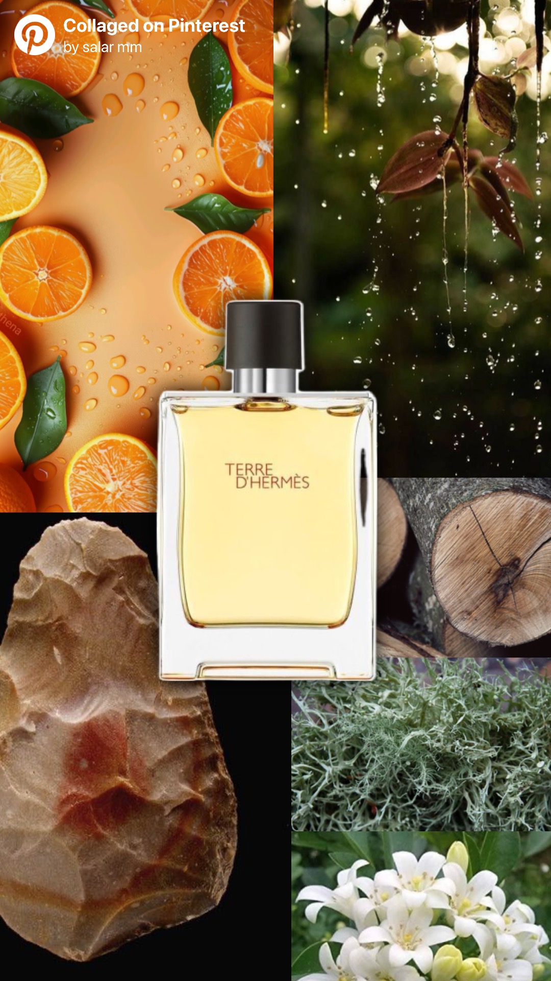 تق هرمس