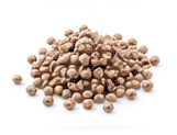دانه آمبرت