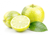 برگاموت
